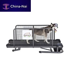 Dog veterinary treadmill Medium