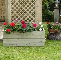 Pine planter SIRMIONE polypropylenecontemporaryoutdoor