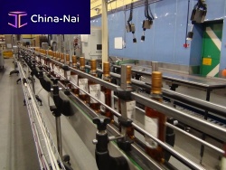 Chain conveyor horizontaltransportfor bottles
