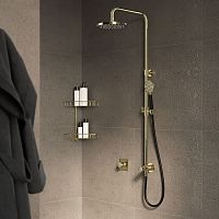 Commercial shower column M438with hand shower