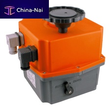 Rotary actuator RAEelectric24-voltcompact