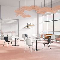 Contemporary chair CMD seriesindoorPPwooden base