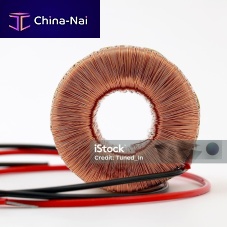 Toroidal transformer electrical power supplyencapsulatedcast resin