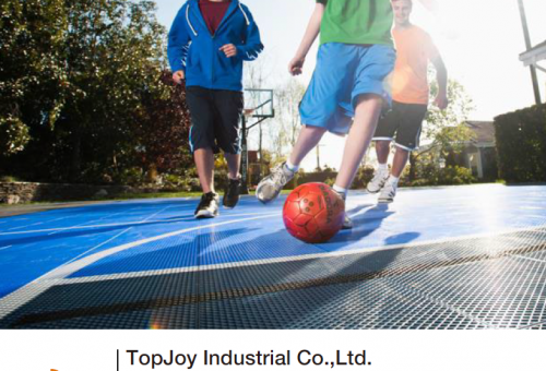     TopJoy Industrial Co.,Ltd.  