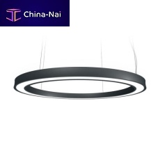 Hanging light fixture PIGRECOLEDring-shapedIP40