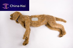 General care training manikin 925for thoracentesistraumacanine