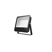 LED floodlight YFLSO-LANS-3001wall-mounted