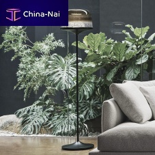 Floor-standing lamp Pinpainted metalblown glasscontemporary