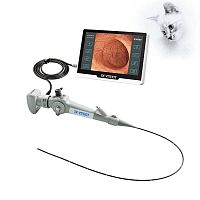 Video veterinary bronchoscope EC seriesfor small animalsfor dogswith working channel
