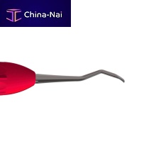 Periodontal scaler 204SDsickletipstainless steel