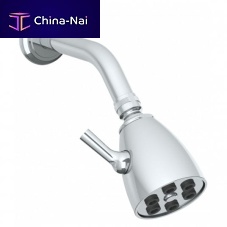 Wall-mounted shower head AIK40
