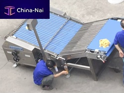 Biscuit sorting machine LB1000for the food industryautomaticbelt