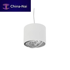 Pendant downlight EXPO ROUNDLEDroundIP20