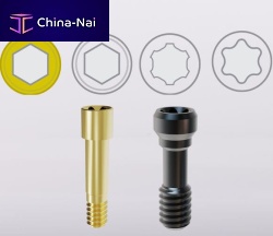 Prosthodontic screw Elos Accurate®