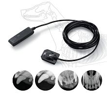 Veterinary intra-oral detector EzSensor 2.0