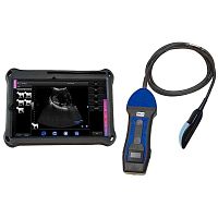 Portable veterinary ultrasound system BXL-S204multipurposefor small animalsfor cattle
