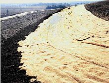 Erosion control biodegradable mat EROSAMAT TYPE 4