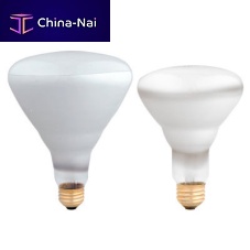 Recessed downlight SYLVANIAincandescentroundoutdoor