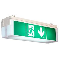 Emergency lighting 2DN14/8/EVGfluorescentIP54suspended
