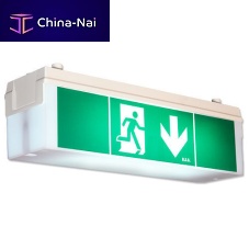 Emergency lighting 2DN14/8/EVGfluorescentIP54suspended