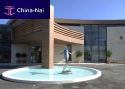 Outdoor swimming pool indoorin-groundconcrete