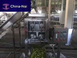 Bell pepper pitting machine TJP