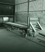 Belt conveyor automaticfor wood