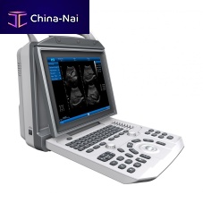 Portable ultrasound system SLE 901for multipurpose ultrasound imagingB/Wbuilt-in console