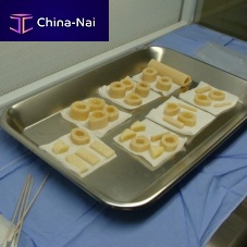 Allograft bone substitute for orthopedic surgeryrigidpowder
