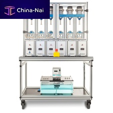 Pressure testing system DRTtemperaturetorquefor in-vitro drug release