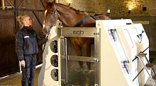Equine veterinary spa