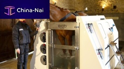 Equine veterinary spa
