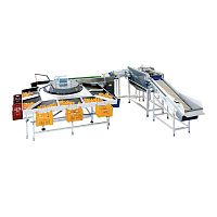 Sorting machine for the food industry automaticfor fruitrotary