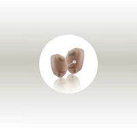 CIC hearing aid M4 CIC