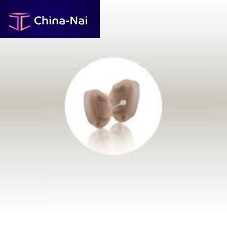 CIC hearing aid M4 CIC