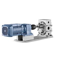Gear pump for food productsoilindustrial