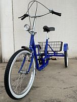 Crank-propelled adaptative tricycle M300 seriesadult