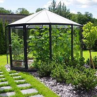 Polycarbonate gazebo RINGOfabric roof