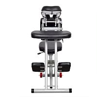 Massage chair DP-5900