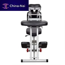 Massage chair DP-5900