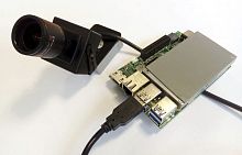 Bird detection system with surveillance camera for airport