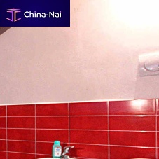 Protective paint PITTURA ANTIMUFFAinsidefor wallfor industrial buildings