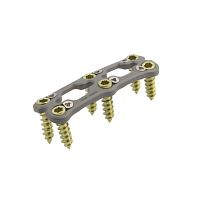 Cervical arthrodesis plate IIIlockingmetallic2 levels