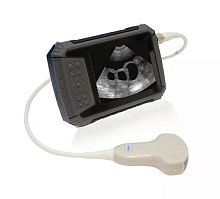Hand-held veterinary ultrasound system P6 multipurposefor small animalsfor large animals