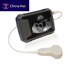 Hand-held veterinary ultrasound system P6 multipurposefor small animalsfor large animals
