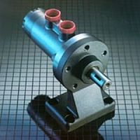 Gerotor hydraulic motor
