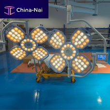 Ceiling-mounted surgical light FY-4+4LEDveterinarydental