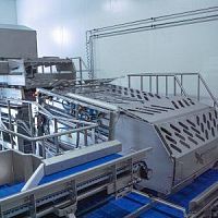 Corn processing line