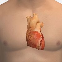 ECG simulation module heart ratefor cardiopulmonary careweb-based