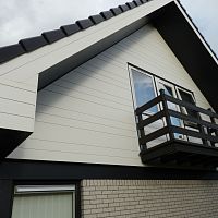 Panel cladding ROCKPANEL LINES²stripsheetcomposite